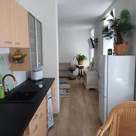 Apartment Elsterglueck