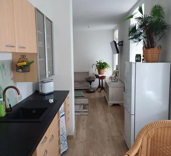 Apartment Elsterglueck